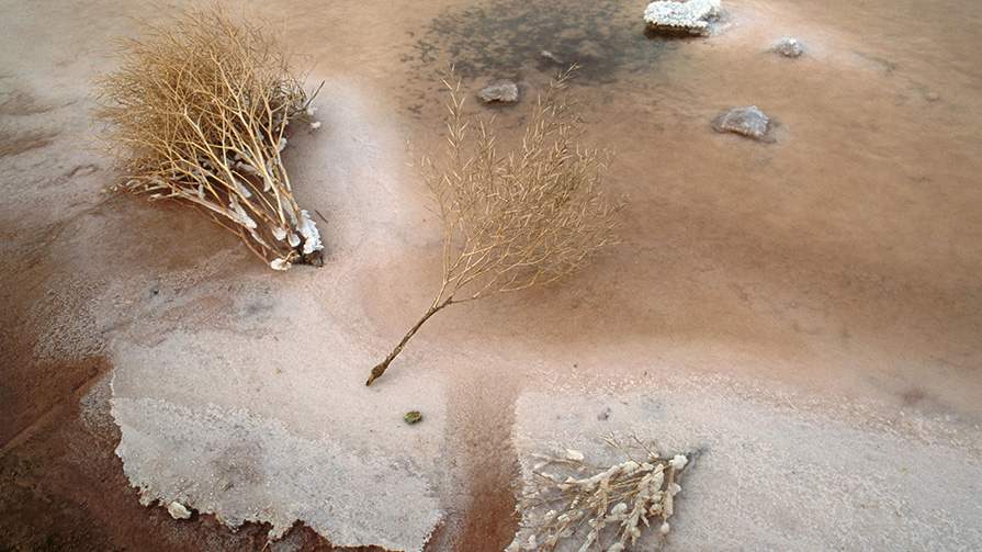 Parched land is covered with a layer of salt (Credit: Getty Images)