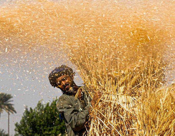 The ingredient we can't do without