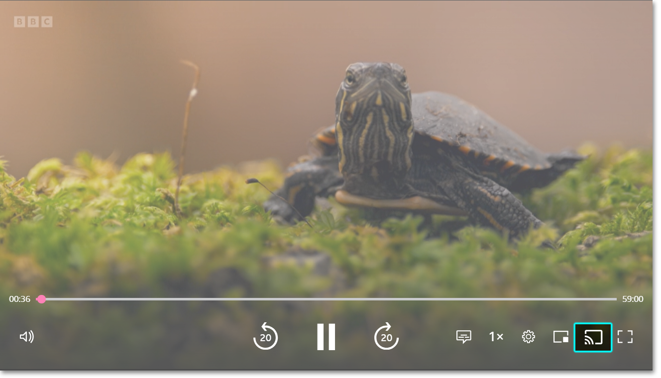 Image of the playback screen on the BBC iPlayer website. The Chromecast icon is highlighted at the bottom.