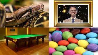 Quiz: which pop stars made these extravagant rider requests?