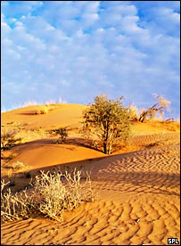 Dunas de Kalahari