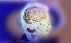 brain scan