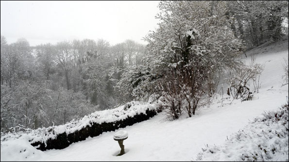 Brendon-snow-alison-napier.jpg