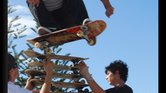 Adrenaline Adrenaline