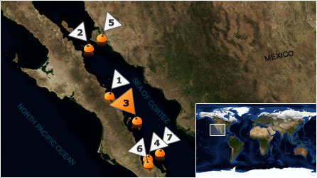 Dive map - Sea of Cortez - Site 3