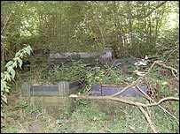 Overgrown