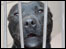 Staffordshire bull terrier cross Brad