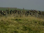 Newen Farm