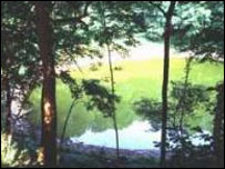 Saaremaa