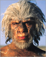 Homo ergaster
