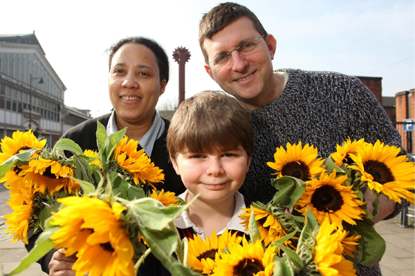 Sunflowers