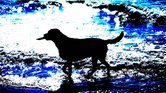 Dog in sea