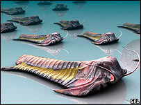 Trilobitas