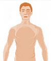 Human body