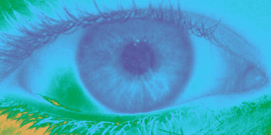 Big Brother
