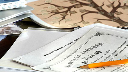 Family Tree image (istockphoto.com)