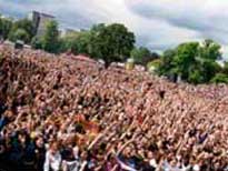 The Crowd