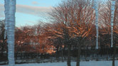 Winter morning... Winter morning...