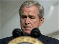 Bush