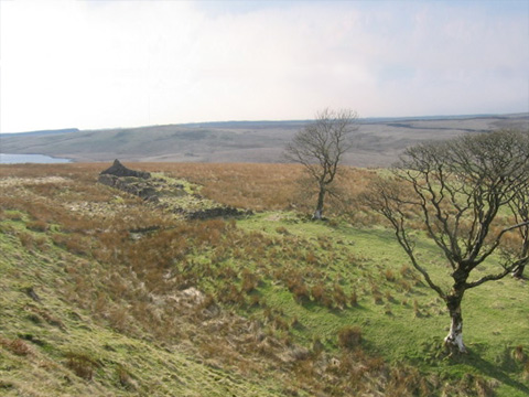 Colour view of Eaglesham Moor. In the foreground stands a small group of bare trees and the low ruins of a croft or other stone building. The edge of a loch or reservoir can be seen in a dip in the hills behind.