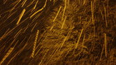 Snow Is Falling... Snow Is Falling...