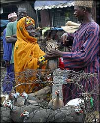 Consumidora nigeriana compra a aves num mercado em Lagos