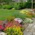 My Garden