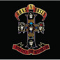 Review of Appetite for Destruction Review of Appetite for Destruction