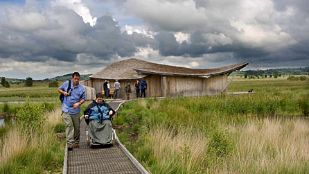Cors Caron