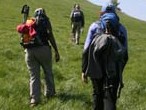 Walkers