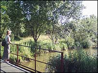 Lagoon at Wood Lane