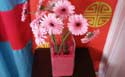 Vases
