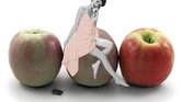 Apple Tastic...