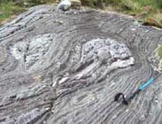 Folded rocks