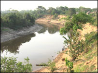 The Amazon River