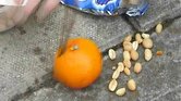 Orange Orange