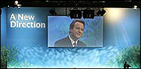 cameron.jpg