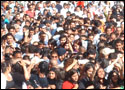 Crowd