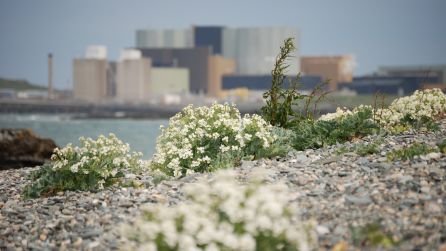 powerstation1.jpg