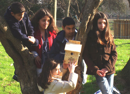Nest Box Challenge