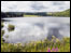 Reservoir. By Carole Jeffery