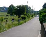 A country lane