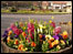 Washington Village Green. By Peter Playle.