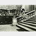 Bichonnade Leaping by Jacques-Henri Lartigue