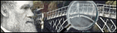 Explore Shropshire's history
