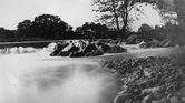 Bin Pinhole Bin Pinhole