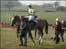 The North Herefordshire Hunt point-to-point
