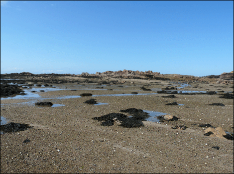 La Rocque in Jersey