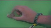 Animation Montage... Animation Montage...