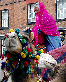 camels.jpg
